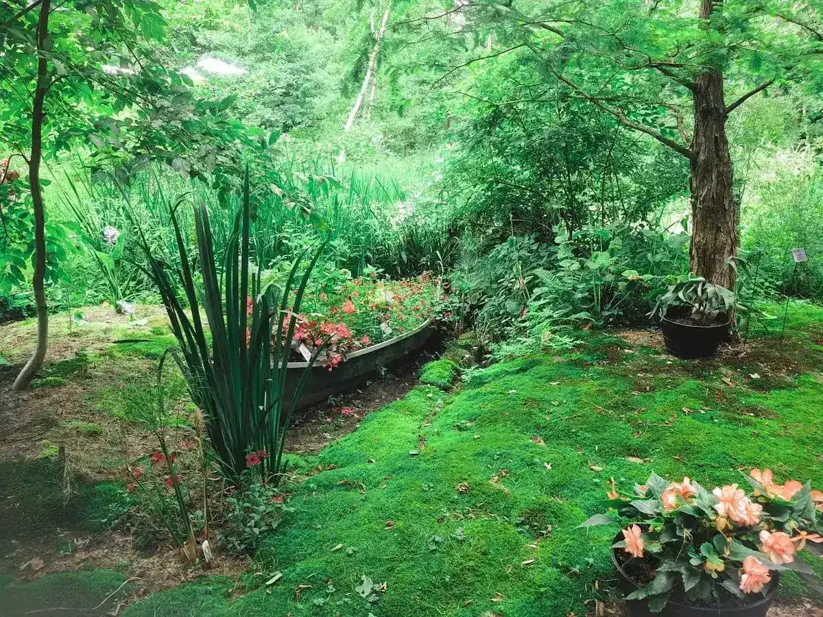 Küçük Bahçeler İçin Yaratıcı Peyzaj Fikirleri