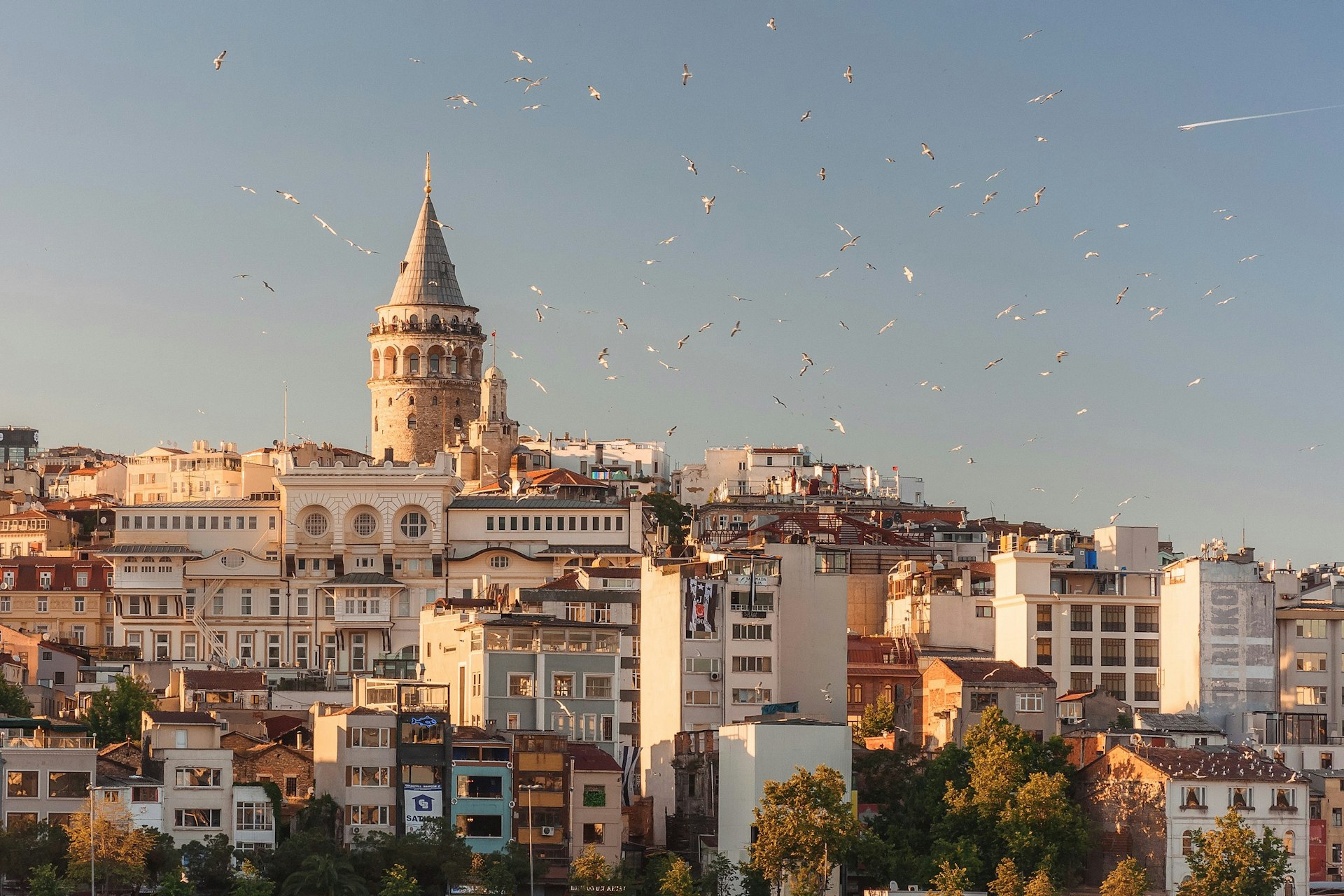 Aliağa Tadilat ve Yenileme Çözümleri Karaca Tadilat